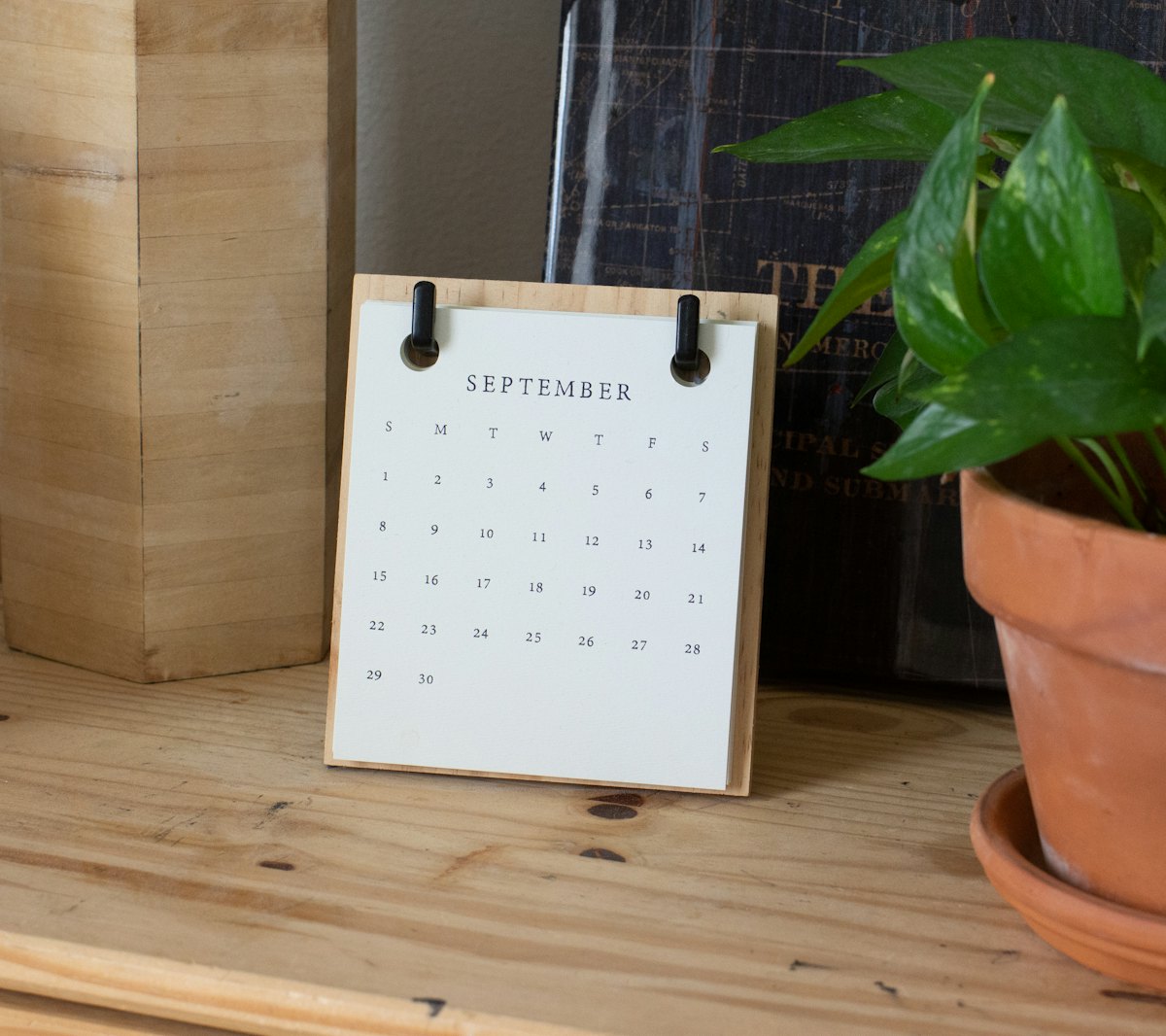 A small desk calendar beside a potted plant