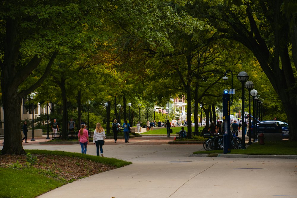 Students walking along a tree-lined path on a college campus